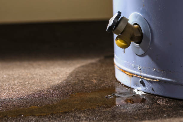 Best Water damage restoration near me  in Horizon City, TX