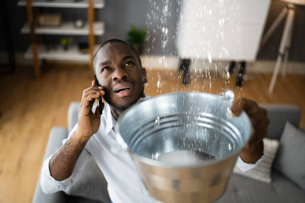 Best Local water damage restoration  in Horizon City, TX