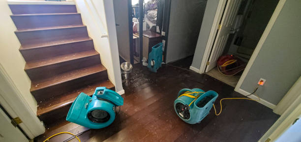 Best Commercial water damage restoration  in Horizon City, TX