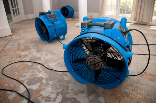 Best Emergency water damage restoration  in Horizon City, TX