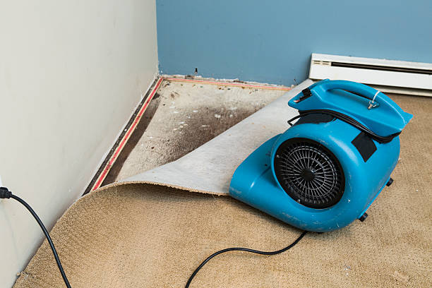 Best Water damage restoration process  in Horizon City, TX